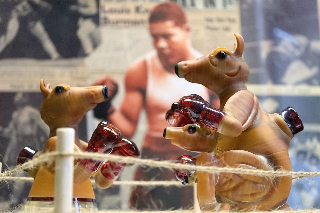 Kangaroo Bongs Scrapping